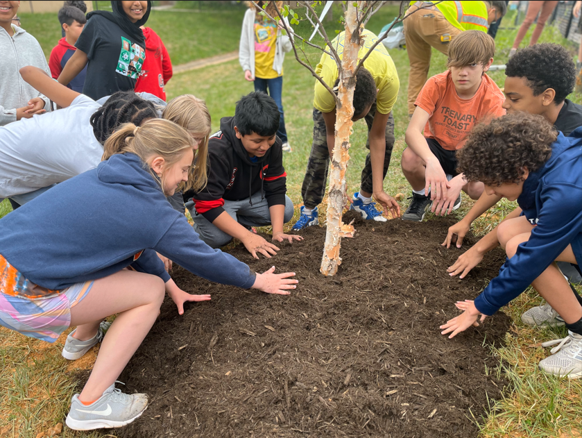 Lake Anne 6th graders planting a tree